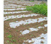 產(chǎn)品庫(kù)地膜的全面解析 功能、類(lèi)型與使用指南